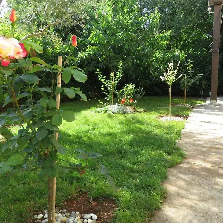 Fantastic Studio Angie In Flower Garden Apartment